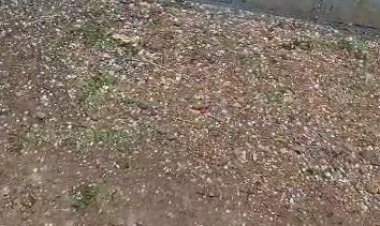 MP Weather News : बेमौसम बारिश का कहर,आंधी-तूफान ने मचाई तबाही