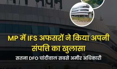 MP में IFS अफसरों ने किया अपनी संपत्ति का खुलासा, सतना DFO चांदीवाल सबसे अमीर अधिकारी