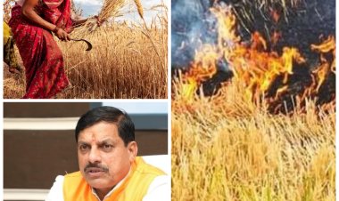 MP News: MP सरकार ने लागू की नई स्कीम, पराली नहीं जलाने पर किसानों को मिलेगा अवॉर्ड