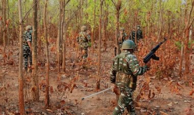 BIG NEWS : छत्तीसगढ़ में नक्सलियों के खिलाफ बड़ा सर्च ऑपरेशन,5 नक्सली ढेर