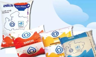 सांची दूध के दामों में इजाफा,अब फुल क्रीम दूध मिलेगा 67 रुपये लीटर, 7 मई से लागू होंगी नई कीमत