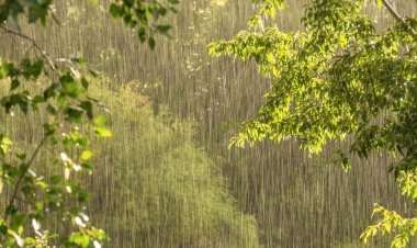 प्रदेश में 40 जिलों में ओले-बारिश और आंधी का अलर्ट