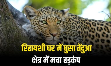 रिहायशी घर में घुसा तेंदुआ, क्षेत्र में मचा हड़कंप