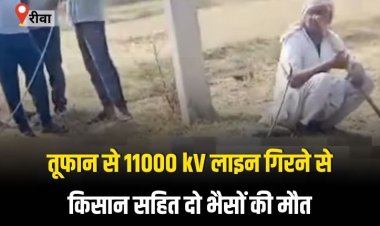 आंधी तूफान से 11 हजार केवी लाइन गिरी, किसान समेत 2 मवेशियों की मौत