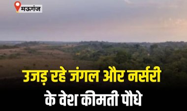 उजड़ रहे जंगल और नर्सरी के वेश कीमती पौधे
