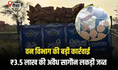 वन विभाग की टीम ने 3.5 लाख रुपए की सागौन की लकड़ी की जप्त