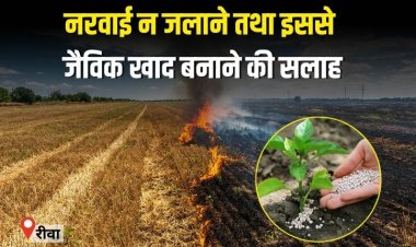 नरवाई न जलाने तथा इससे जैविक खाद बनाने की सलाह
