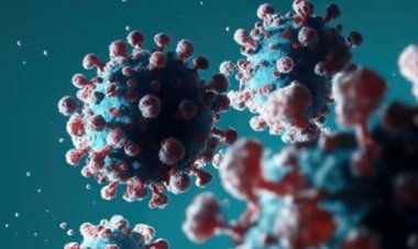 CORONA VIRUS : देश में कोरोना केस 1045 पार, इंदौर में 3 दिन में 6 नए मरीज