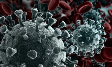 Corona virus :  MP के बड़े शहरों में कोरोना को लेकर तैयारी सुस्त, गाइडलाइन का इंतजार