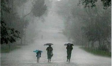 MP Weather : नौतपा में झमाझम बारिश, MP के 36 जिलों में अलर्ट