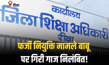 फर्जी नियुक्ति मामले बाबू पर गिरी गाज, निलंबित