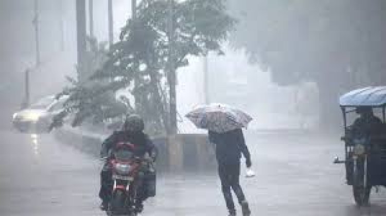 मऊगंज: आंधी के साथ बारिश से किसानों की फसल को नुकसान