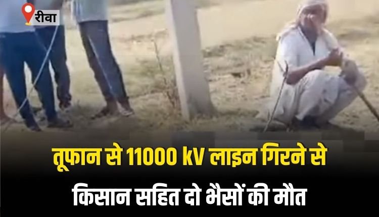 आंधी तूफान से 11 हजार केवी लाइन गिरी, किसान समेत 2 मवेशियों की मौत