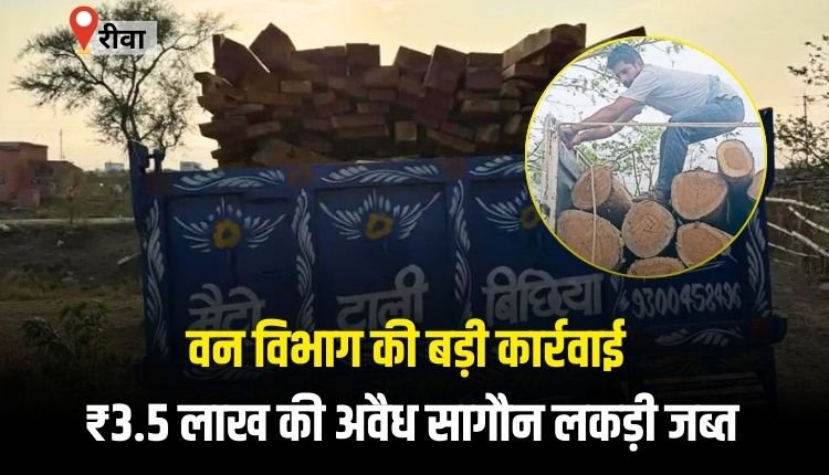 वन विभाग की टीम ने 3.5 लाख रुपए की सागौन की लकड़ी की जप्त