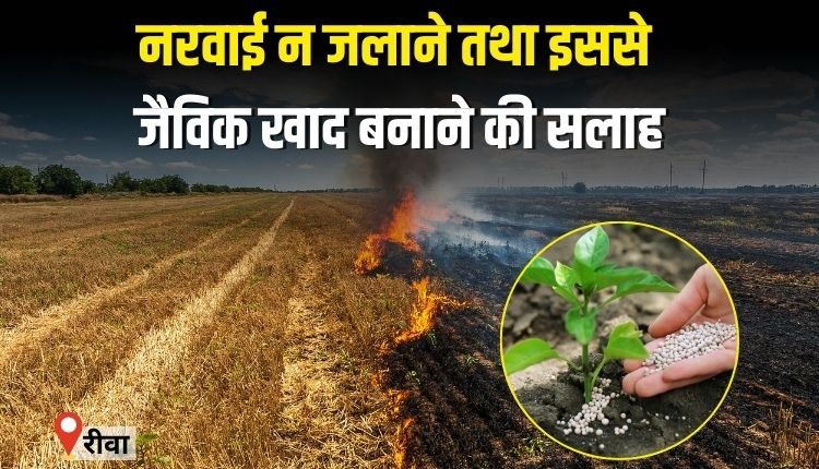 नरवाई न जलाने तथा इससे जैविक खाद बनाने की सलाह