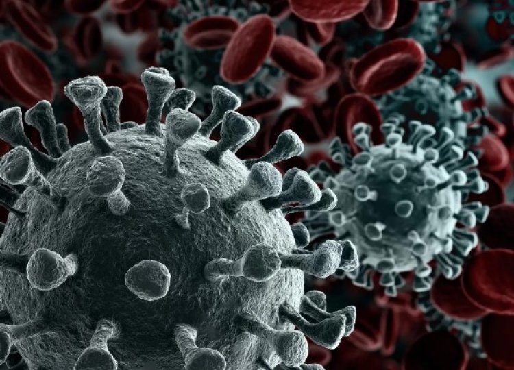 Corona virus : MP के बड़े शहरों में कोरोना को लेकर तैयारी सुस्त, गाइडलाइन का इंतजार