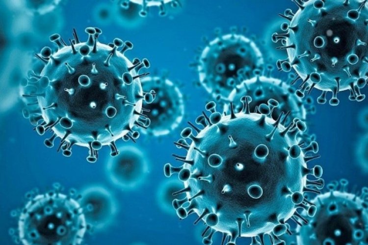 COVID-19 in India : देश में तेजी से बढ़ रहे कोरोना के एक्टिव केस, इंदौर में 24 घंटे में मिले 4 नए केस