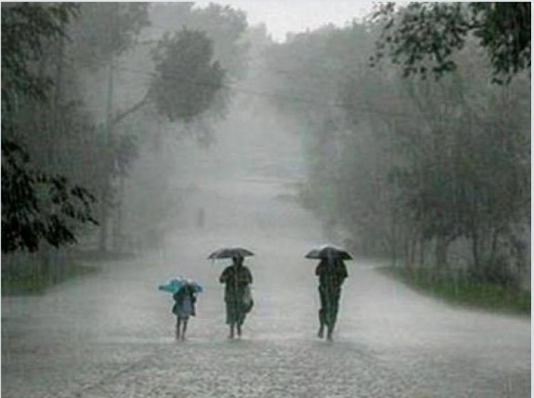 MP Weather : नौतपा में झमाझम बारिश, MP के 36 जिलों में अलर्ट