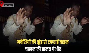 मवेशियों की झुंड से टकराई बाइक चालक की हालत गंभीर