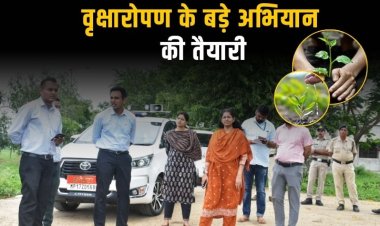 रीवा को हराभरा बनाने के लिये होगा वृहद वृक्षारोपण, कलेक्टर ने पौधारोपण स्थल का किया निरीक्षण