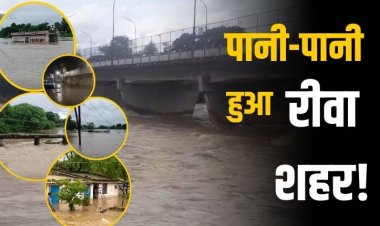 रीवा शहर बेहाल, बाढ़ जैसे हालात, नदी-नाले उफान पर, सड़कों से लेकर घरों तक पसरा जलजमाव