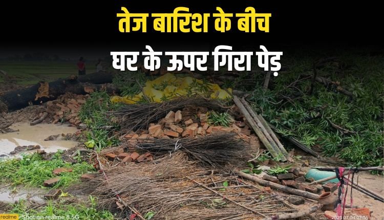 तेज बारिश के बीच घर के ऊपर गिरा पेड़, घर एवं गृहस्थी की सामग्री हुई चौपट