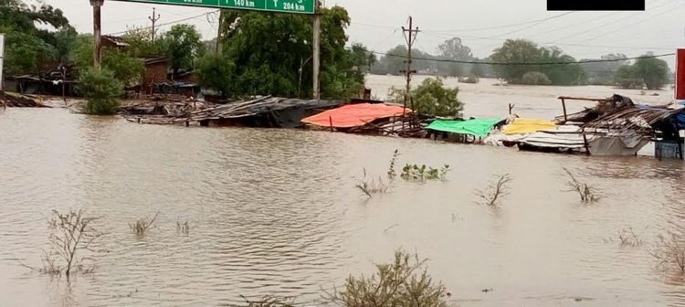 एमपी में अब तक 18.2 इंच गिरा पानी, आधा कोटा पूरा