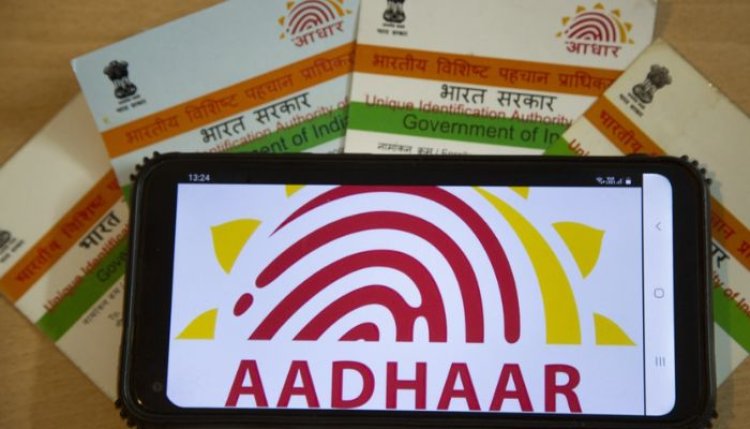 11.7 करोड़ मौतें, आधार डिलीट किए 1.15 करोड़
