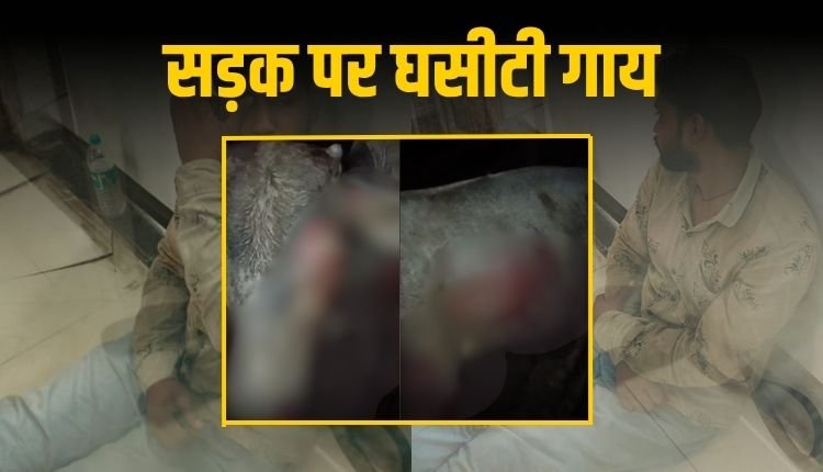 रीवा में गौ क्रूरता: गाय को ऑटो से बांधकर घसीटा वीडियो वायरल