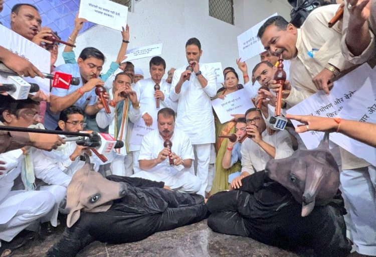 MP Vidhan Sabha: नेता प्रतिपक्ष ने अनुपूरक बजट पर उठाए सवाल