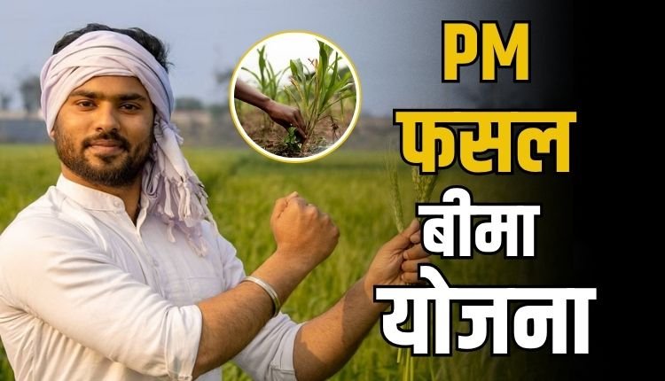 प्राकृतिक आपदाओं से फसल नुकसान पर राहत दे रही 'प्रधानमंत्री फसल बीमा योजना', किसानों को न्यूनतम प्रीमियम पर अधिक सुरक्षा