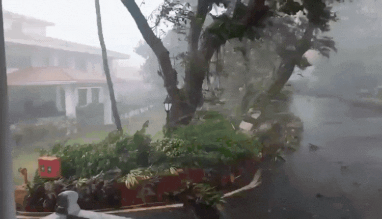 MONSOON 2025: पटना में रेलवे ट्रैक डूबा, राजस्थान में रेड अलर्ट