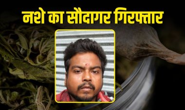 इंदौर क्राइम ब्रांच पुलिस की बड़ी कार्रवाई, 1.597 किलो अवैध गांजा के साथ एक आरोपी गिरफ्तार, छानबीन में जुटी पुलिस
