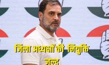 मध्य प्रदेश कांग्रेस में जल्द होगा जिला अध्यक्षों का ऐलान, राहुल गांधी लेंगे अंतिम निर्णय, जातीय और राजनीतिक समीकरणों पर हो रही चर्चा