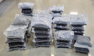 भोपाल स्टेशन से पकड़ाया पानी में उगने वाला गांजा, 2 आरोपी भी गिरफ्तार