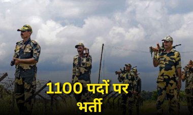BSF Recruitment 2025: बीएसएफ में 1100 हेड कांस्टेबल की भर्ती शुरू, 12वीं पास युवाओं को मिलेगी 81,100 सैलरी