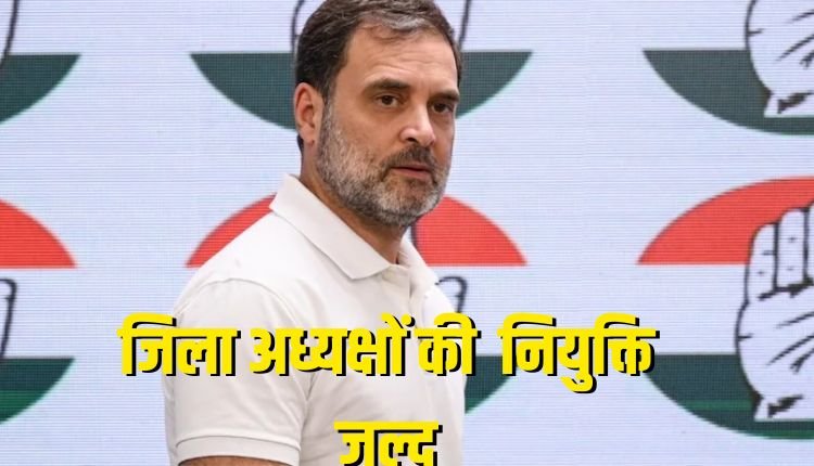 मध्य प्रदेश कांग्रेस में जल्द होगा जिला अध्यक्षों का ऐलान, राहुल गांधी लेंगे अंतिम निर्णय, जातीय और राजनीतिक समीकरणों पर हो रही चर्चा
