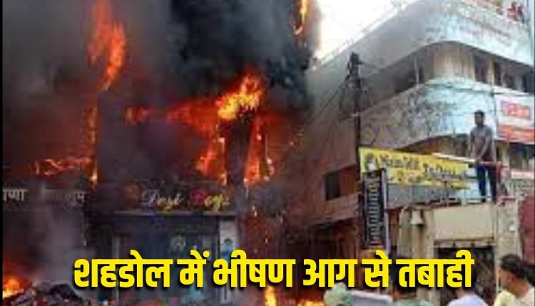 शहडोल में भीषण आग से तबाही, गांधी चौक के पास दर्जनों दुकानें जलकर राख