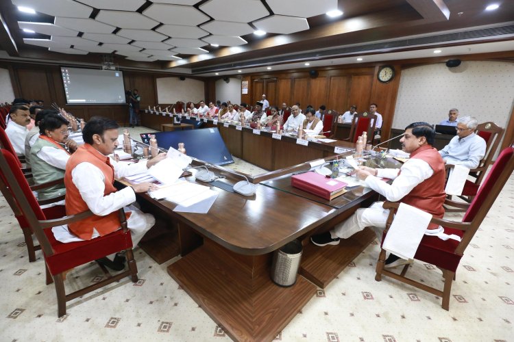 मोहन कैबिनेट: प्रदेश के 5 शहरों में खुलेंगे आयुर्वेद कॉलेज, MBBS के पद भी बढ़ेंगे, अक्टूबर में PM का दौरा