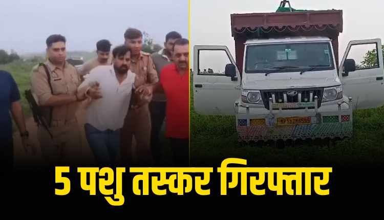 भैंस चोरी करने आए 5 तस्कर गिरफ्तार, सतना के 4 लोग शामिल