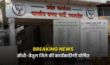 BREAKING NEWS: MP बीजेपी ने सीधी और बैतूल की जिला  कार्यकारिणी घोषित की