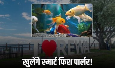 शहर में खुलेंगे 8 स्मार्ट फिश पार्लर, मछुआरों को मिलेगा रोजगार का नया जरिया