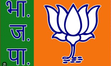 BJP प्रदेश कार्यकारिणी में सांसद-विधायकों को नहीं मिलेगा पद ! वर्तमान मंत्री MP-MLA होंगे बाहर