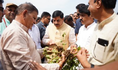 शाजापुर जिले में सोयाबीन फसल को हुए नुकसान पर होगा सर्वे, किसानों को मिलेगी हर संभव मदद