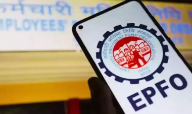 EPFO ने शुरू किया नया 'पासबुक लाइट' फीचर, अब एक क्लिक में जानें अपना PF बैलेंस