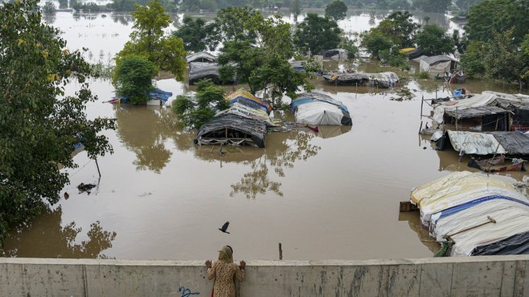 यमुना का पानी घरों में घुसा, पंजाब आपदा प्रभावित स्टेट घोषित, MP के 18 जिलों में बारिश का अलर्ट