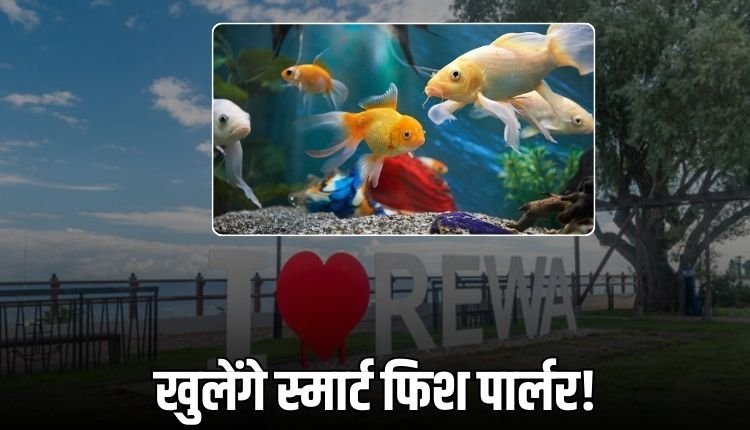 शहर में खुलेंगे 8 स्मार्ट फिश पार्लर, मछुआरों को मिलेगा रोजगार का नया जरिया