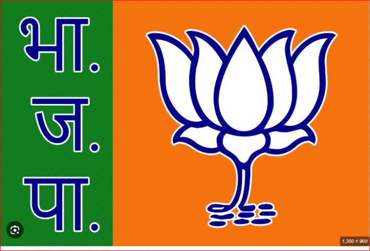 BJP प्रदेश कार्यकारिणी में सांसद-विधायकों को नहीं मिलेगा पद ! वर्तमान मंत्री MP-MLA होंगे बाहर