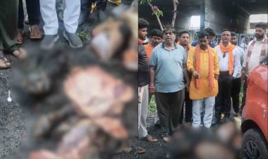 भोपाल: परवलिया सड़क पर कार में मिला गौमांस, जांच जारी