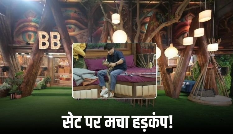 ‘बिग बॉस 19’ के घर में घुसा सांप! मृदुल ने पकड़ा, देखें वीडियो